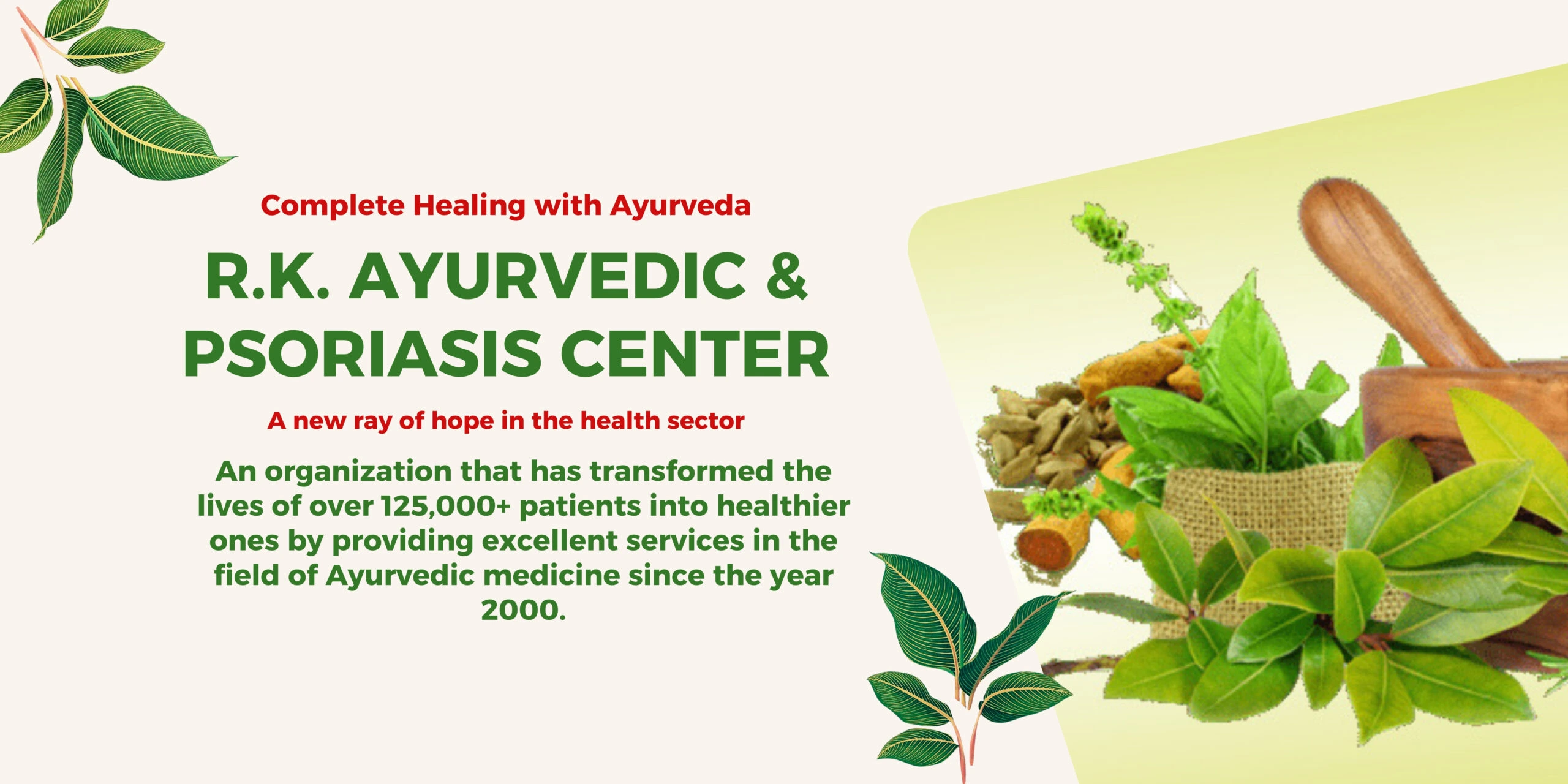 Ayurvedic consultation for skin and immune health