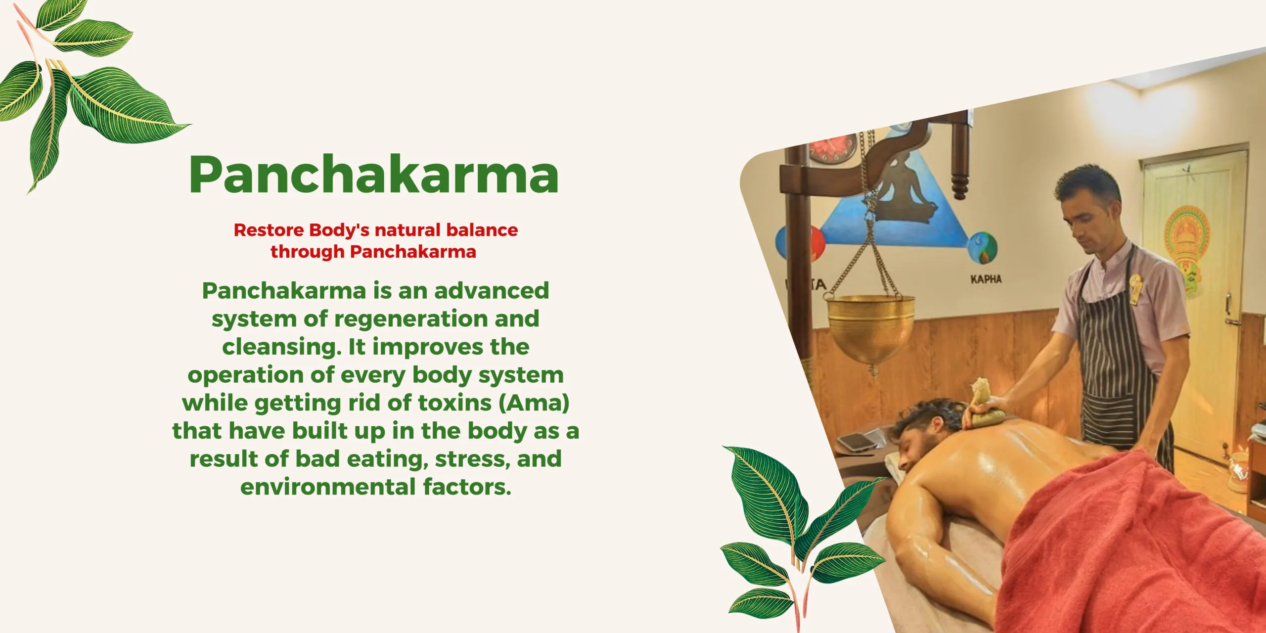 Ayurvedic Panchakarma for body purification and wellness